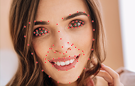 盛煌平台人脸关键点标注